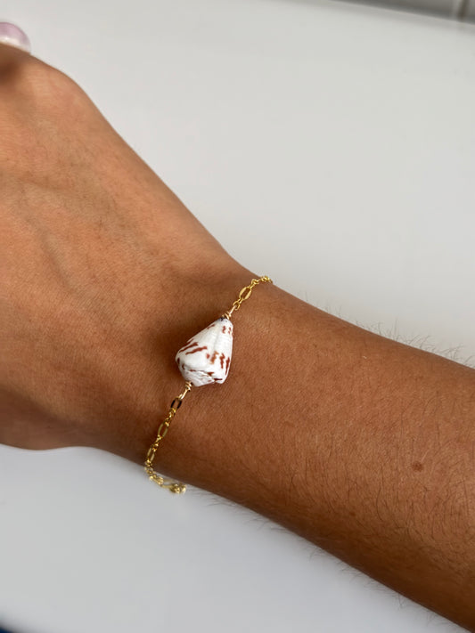 Tiger Shell Chain Bracelet