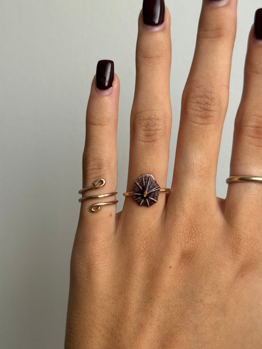 5.5 Opihi ‘Awa Ring